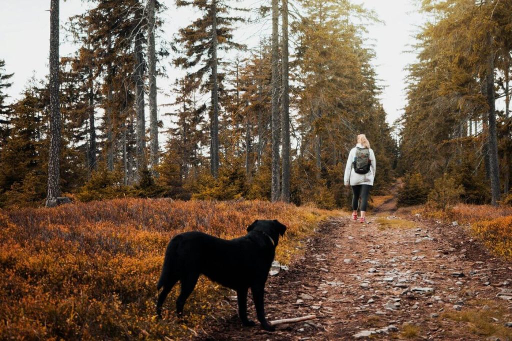 Woman walking along woodland path reconnecting with herself